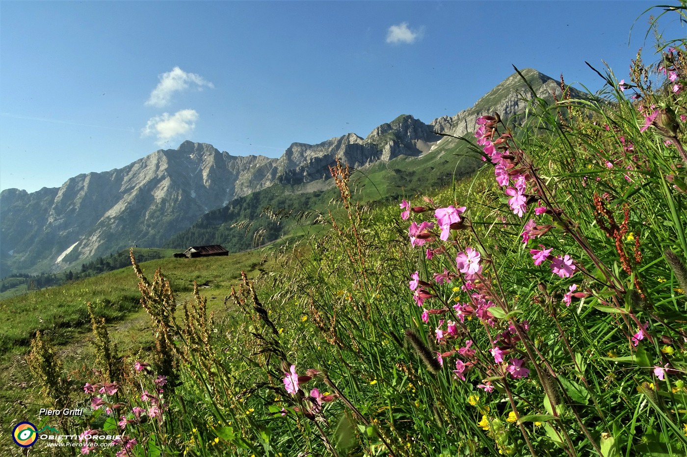 10 Fioriture multicolori con vista in Cavallo-Pegherolo.JPG -                                